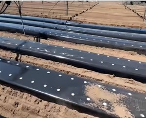 PBAT降解地膜/0.015MMX1M